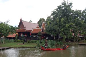 Warrior Performance in the floating market