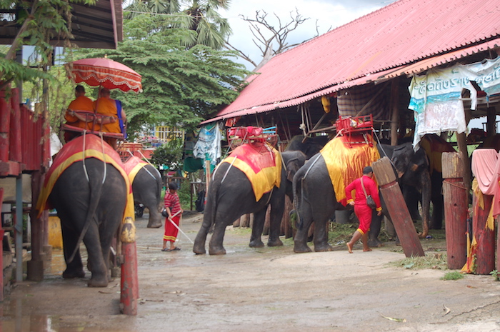 Monks riding elephants in Ayutthaya