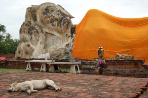 reclining-buddha-ayutthaya