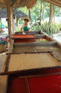 Elephant Poo Paper being manufactured