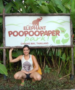 Elephant PooPooPaper Park